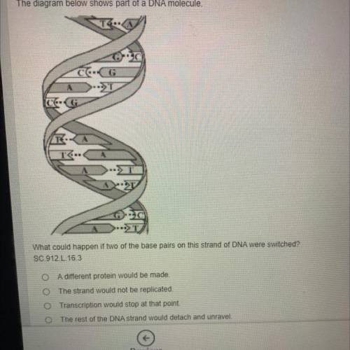 What could happen if two of the base pairs on this strand of DNA were switched?