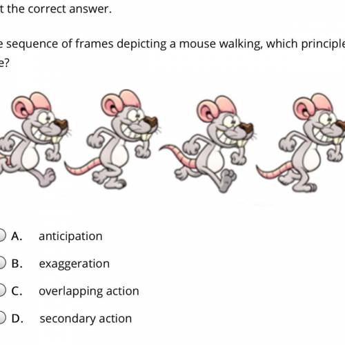 Select the correct answer.

In the sequence of frames depicting a mouse walking, which principle h