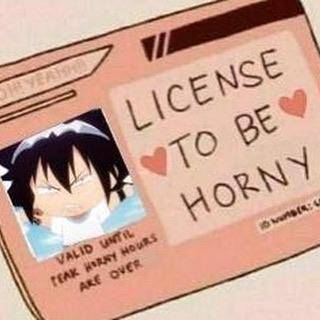 People say I'm dirty-minded but I have a license to be