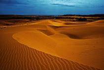 PLEASE HELP During a journey to the Sahara, Monica saw the landform shown in this picture: Whic