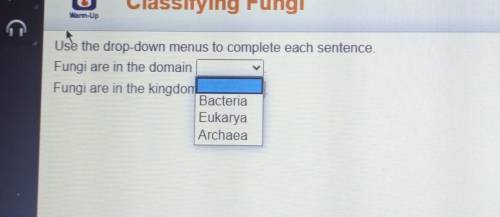 Use the drop-down menus to complete each sentence. Fungi are in the domain Fungi are in the kingdom