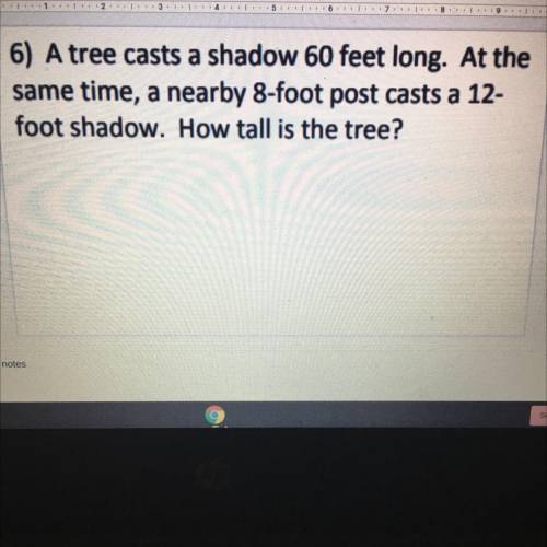 How tall is the tree