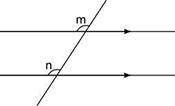 A pair of parallel lines is cut by a transversal as shown below:

Which of the following best repr