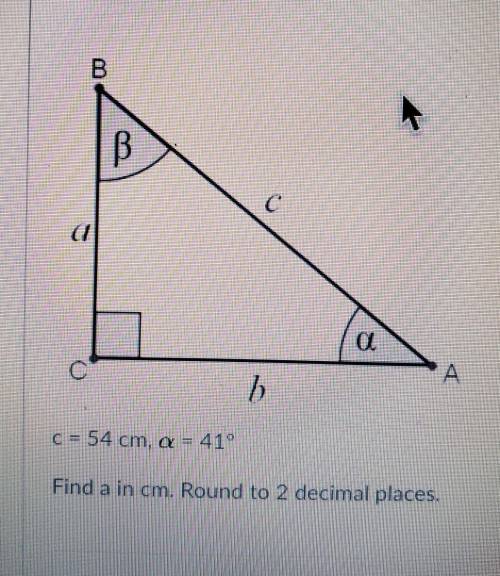 Help please !! very important trig test!