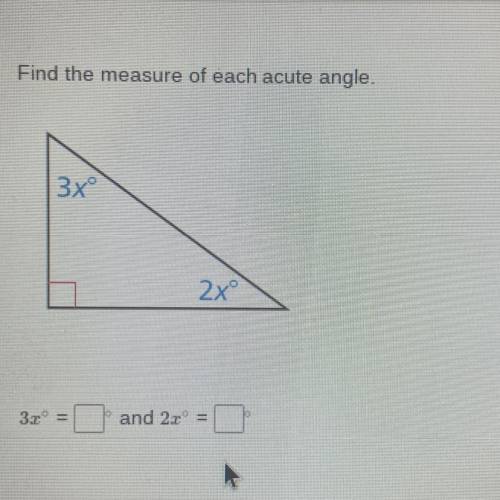 Find the measure of each acute angle.
3xº
2x
19
3.2
and 20