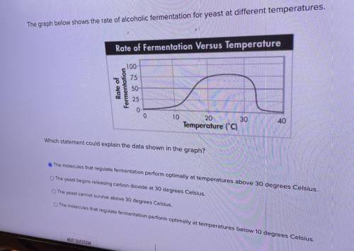 The graph below shows the rate of alcoholic fermentation for yeast at different temperatures.

Rat