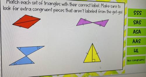 Match each set of triangles with their correct label