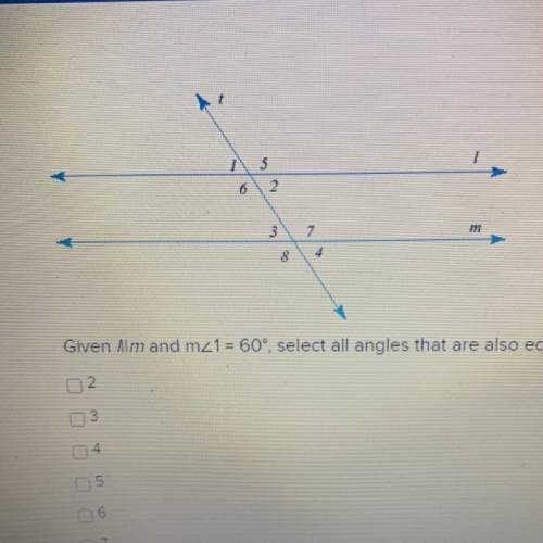 Given /||m and m<1 = 60° select all angles that are also equal to 60°

2
3
4
5
6
7
8