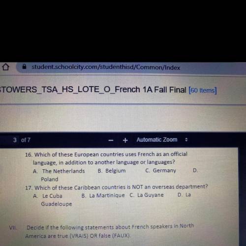 Please I need help taking french final 16 & 17