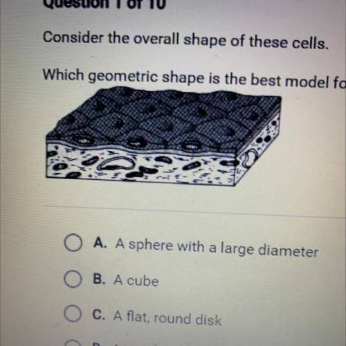 Question 1 of 10

Consider the overall shape of these cells
Which geometric shape is the best mode