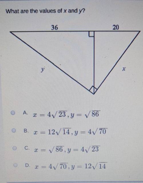 What are the values of x and y?
