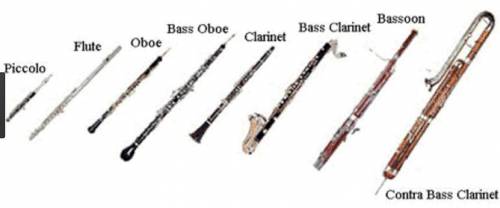 Woodwind instruments produce sound by plucking strings.

Question 3 options:
True
False