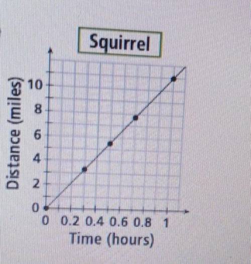 How fast does the squirrel run? if you help me ill mark you brainliest