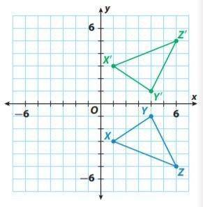 Which Algebraic rule describes the transformation?

A. (x,y) - (-x,y)
B. (x,y) - (x,-y)
C. (x,y) -