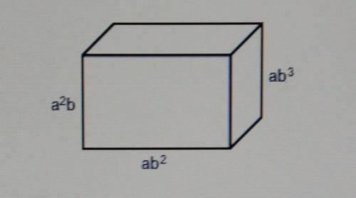 The dimensions of a rectangular prism are shown in the diagram below. Write an expression that repr