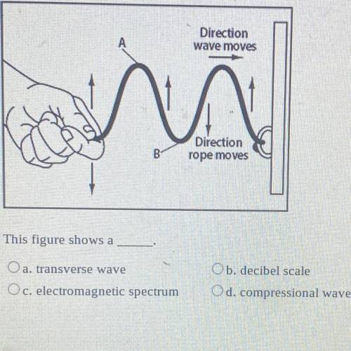 This figure shows a

O a. transverse wave
O c. electromagnetic spectrum
Ob. decibel scale
Od compr
