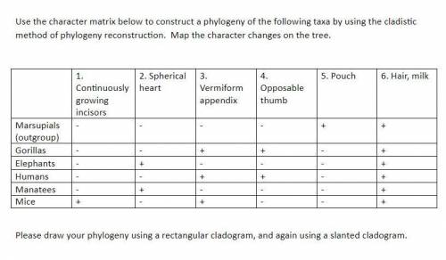 Use the character matrix below to construct a phylogeny of the following taxa by using the cladisti