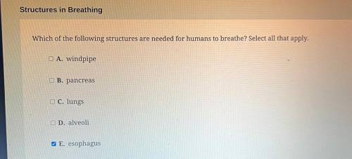 Which of the following structures are needed for humans to breathe