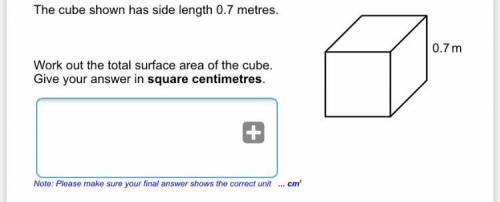 Does anyone know this answer I’m stuck