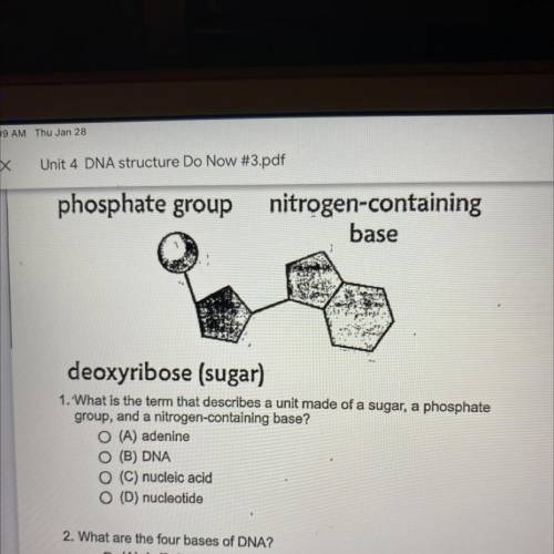 Deoxyribose (sugar)

1. What is the term that describes a unit made of a sugar, a phosphate
group,