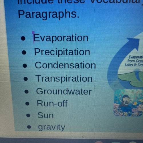 Hello, I need some help writing a paragraph about the water cycle! If u can write a paragraph EXPLA