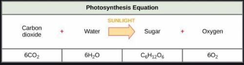The chemical equation for the process of photosynthesis is shown below. Which part represents the c