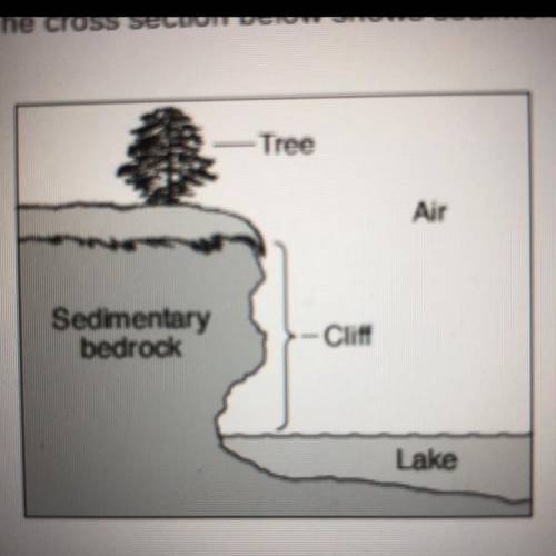 The cross section shows sedimentary bedrock along the shore of a lake.

Identify the labeled part