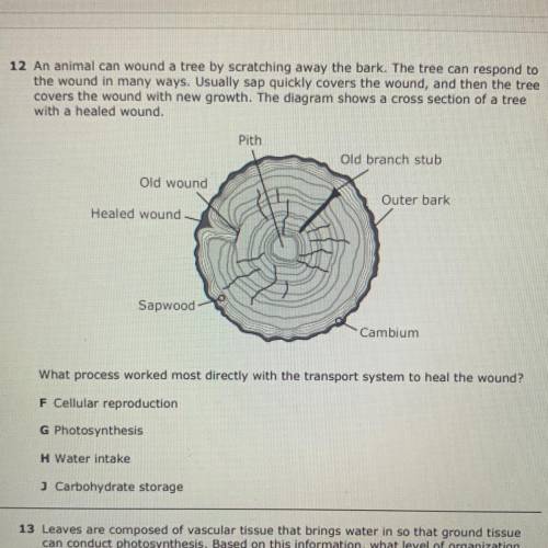 HELP ITS DUE RIGHT NOW ( BIOLOGY QUESTION !! )