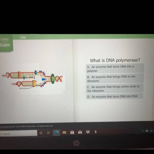 Hello what is DNA POLMERASE