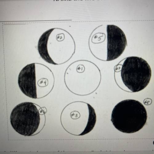 Look at the 8 different phases of the moon. Each Moon has a number on it. Write

the name of the m