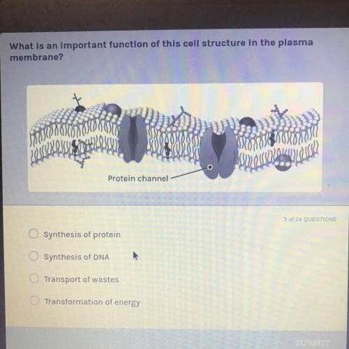 I need help !!

Question: what is important function of the cell structure in the plasma membrane?