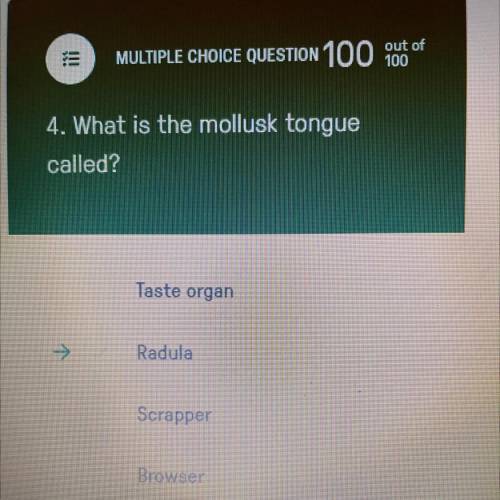 What is the mollusk tongue called? 
B