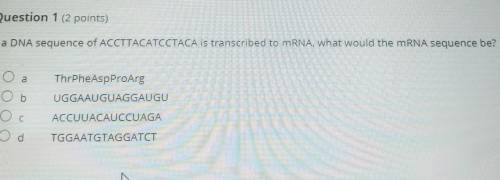Question 1 (2 points) If a DNA sequence of ACCTTACATCCTACA is transcribed to mRNA, what would the m