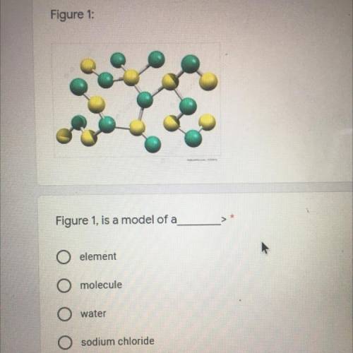 Pls can someone help me with this pls I’ll give brainliest