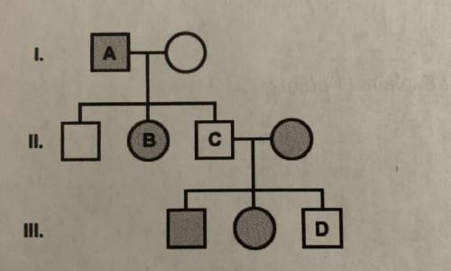 The family tree below shows the trait of having attached earlobes. Having attached earlobes is rece