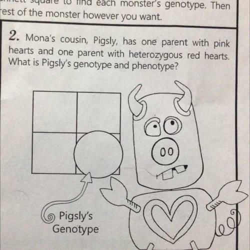 2. Mona's cousin, Pigsly, has one parent with pink

hearts and one parent with heterozygous red he