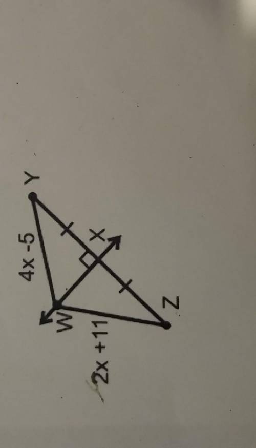 Solve for x. show your work please