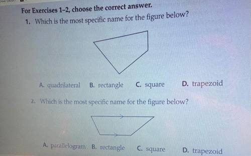Would it be quadrilateral and trapezoid ?
