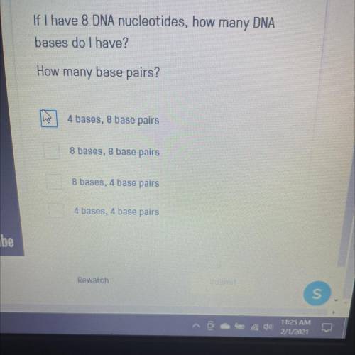 If I have 8 DNA nucleotides, how many
DNA
bases do I have?
How many base pairs?