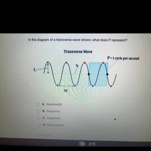 In the diagram of a transverse wave shown, what does P represent?