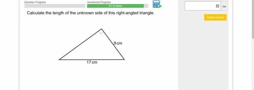 Calculate the length of the unknown side of the right-angled triangle

I will mark brainliest if y