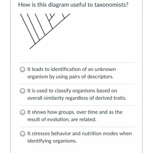 How is this diagram useful to taxonomists?
