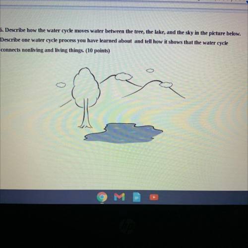 Describe how the water cycle moves water between the tree, the lake, and the sky in the picture bel