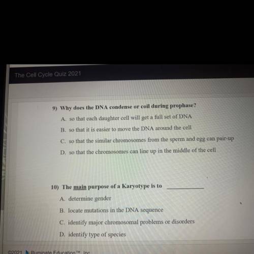Pls help with both of you can and say which one you answer thank you and I also need help like NOW