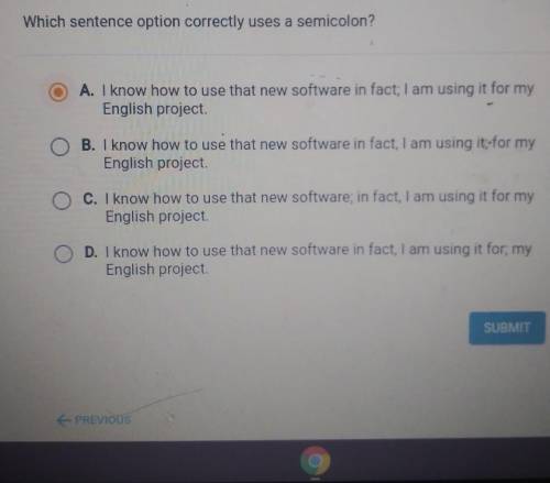 Which sentence.option correctly uses a semicolon