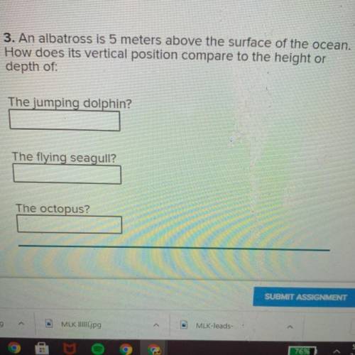 Ce of

3. An albatross is 5 meters above the surface of the ocean.
How does its vertical position