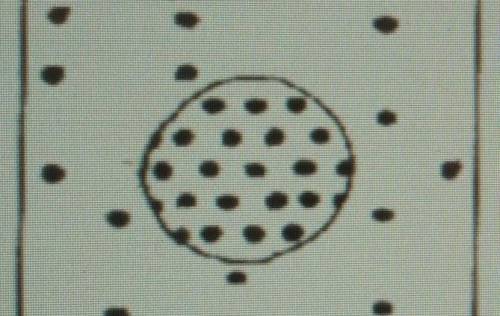 The black dots represent the solute. Identify the type of solution below.

A. Hypertonic B. Isoton