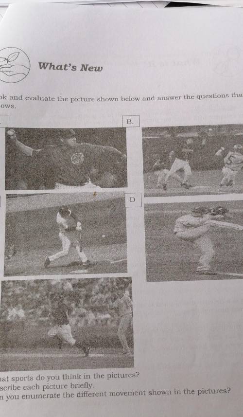 1. What sports do you think in the pictures?

2. Describe each picture briefly3. Can you enumerate