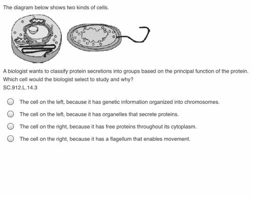 The diagram below shows two kinds of cells.

A biologist wants to classify protein secretions into