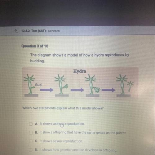 The diagram shows a model of how a hydra reproduces by

budding
Hydra
Bud
Which two statements exp